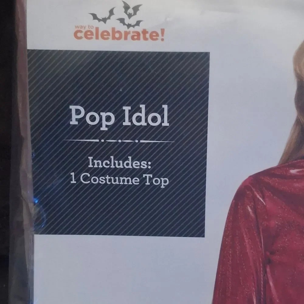 Pop Idol Costume (Taylor Swift)